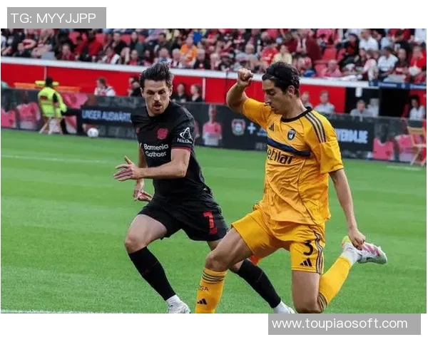 霍芬海姆主场豪取胜利，击败勒沃库森